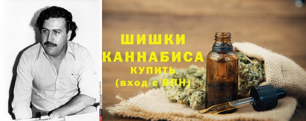 стаф Богородицк