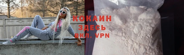 стаф Богородицк