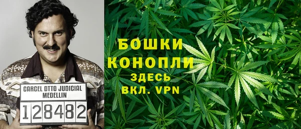 прущая мука Богданович