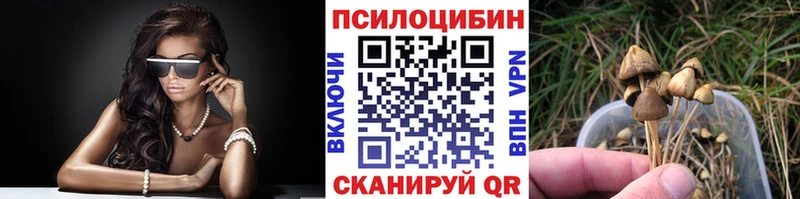Галлюциногенные грибы GOLDEN TEACHER  сколько стоит  Кольчугино 